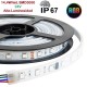 Tira LED 5 mts Flexible 24V 72W 300 Led SMD 5050 IP67 RGB Alta Luminosidad
